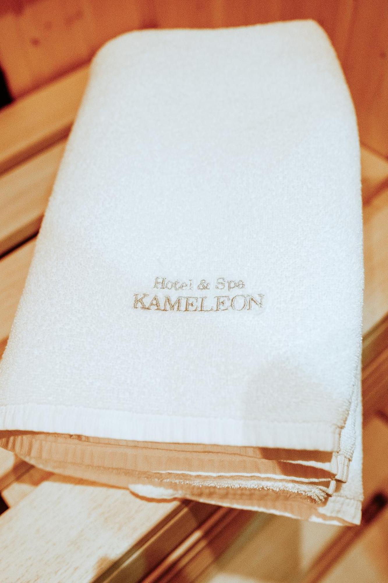 Hotel&Spa Kameleon Żory Exteriér fotografie